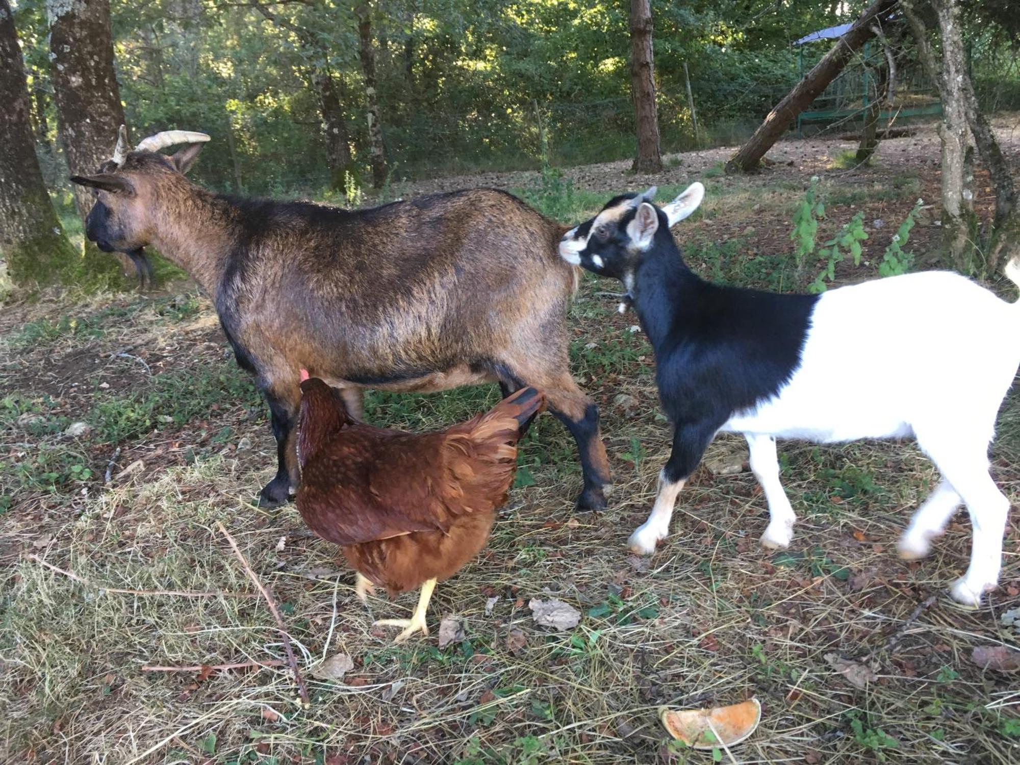 Gites La Source Le Calet Dış mekan fotoğraf